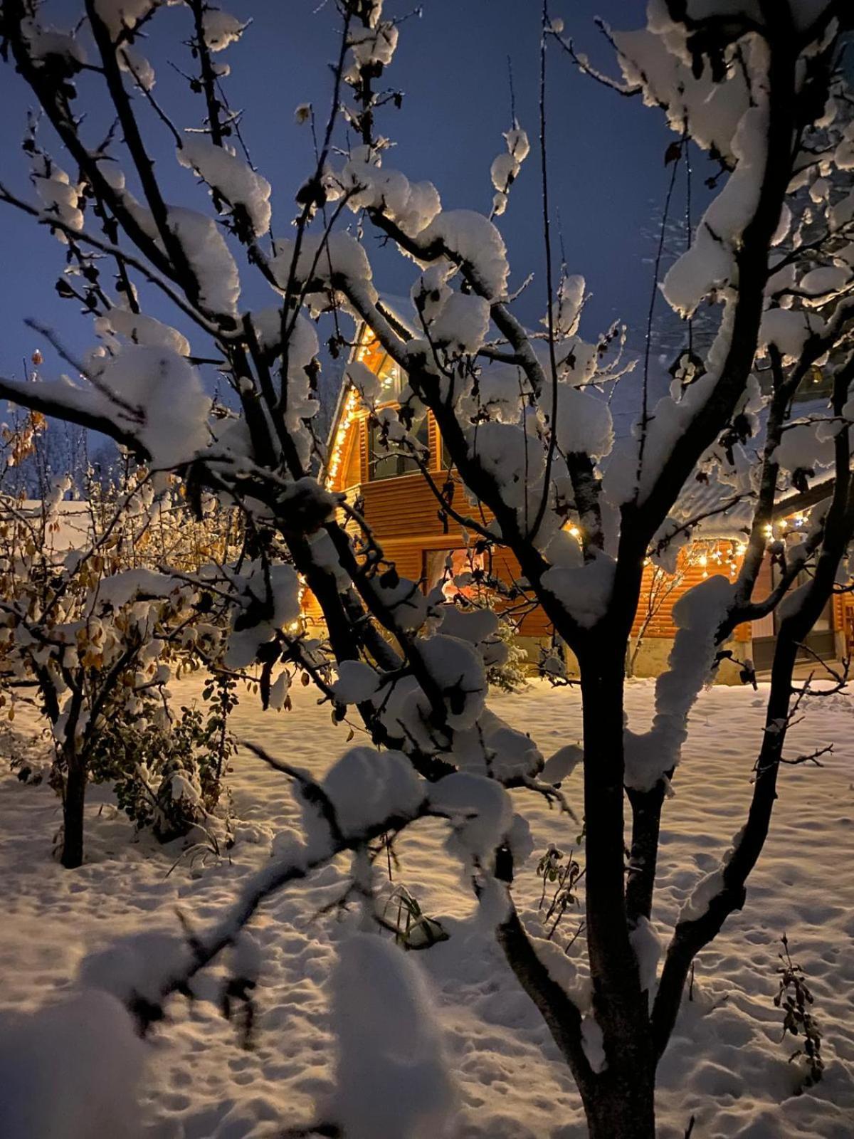 Moonlake Chalet Gainesti Eksteriør billede